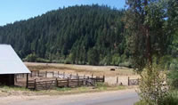 20 Acres of Ranchland